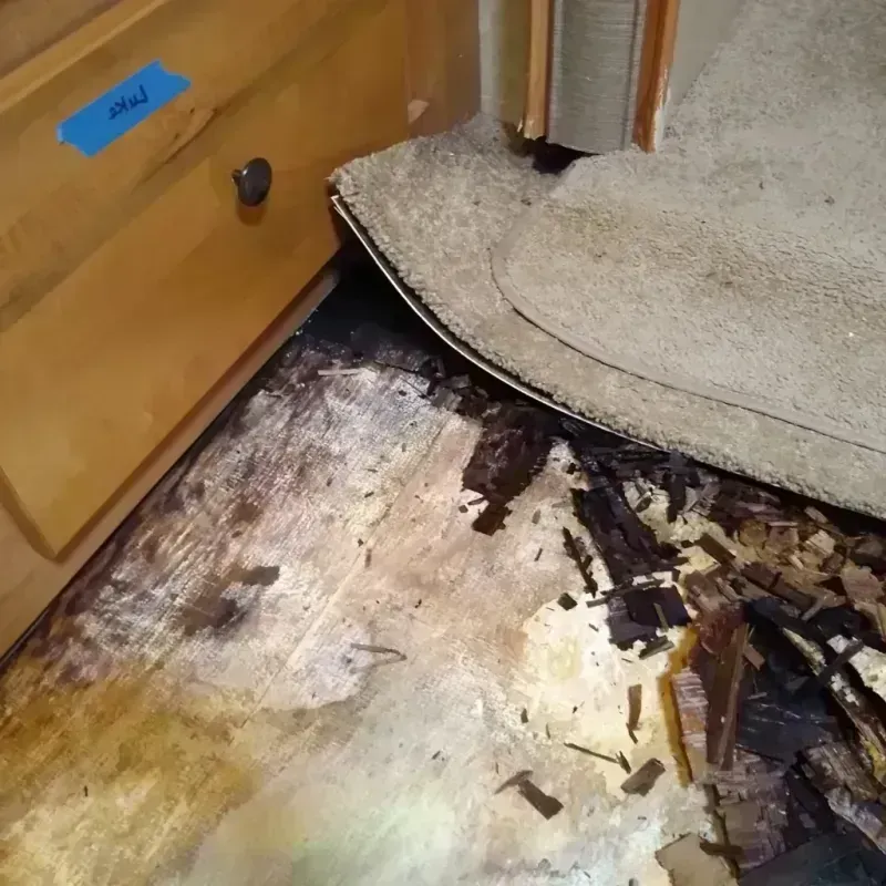 Wood Floor Water Damage in Streator, IL